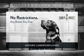 Pet friendly apartments, pioneer, st paul